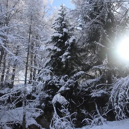 Chalet Alpinium Chalet Snowflake La Plagne-Tarentaise